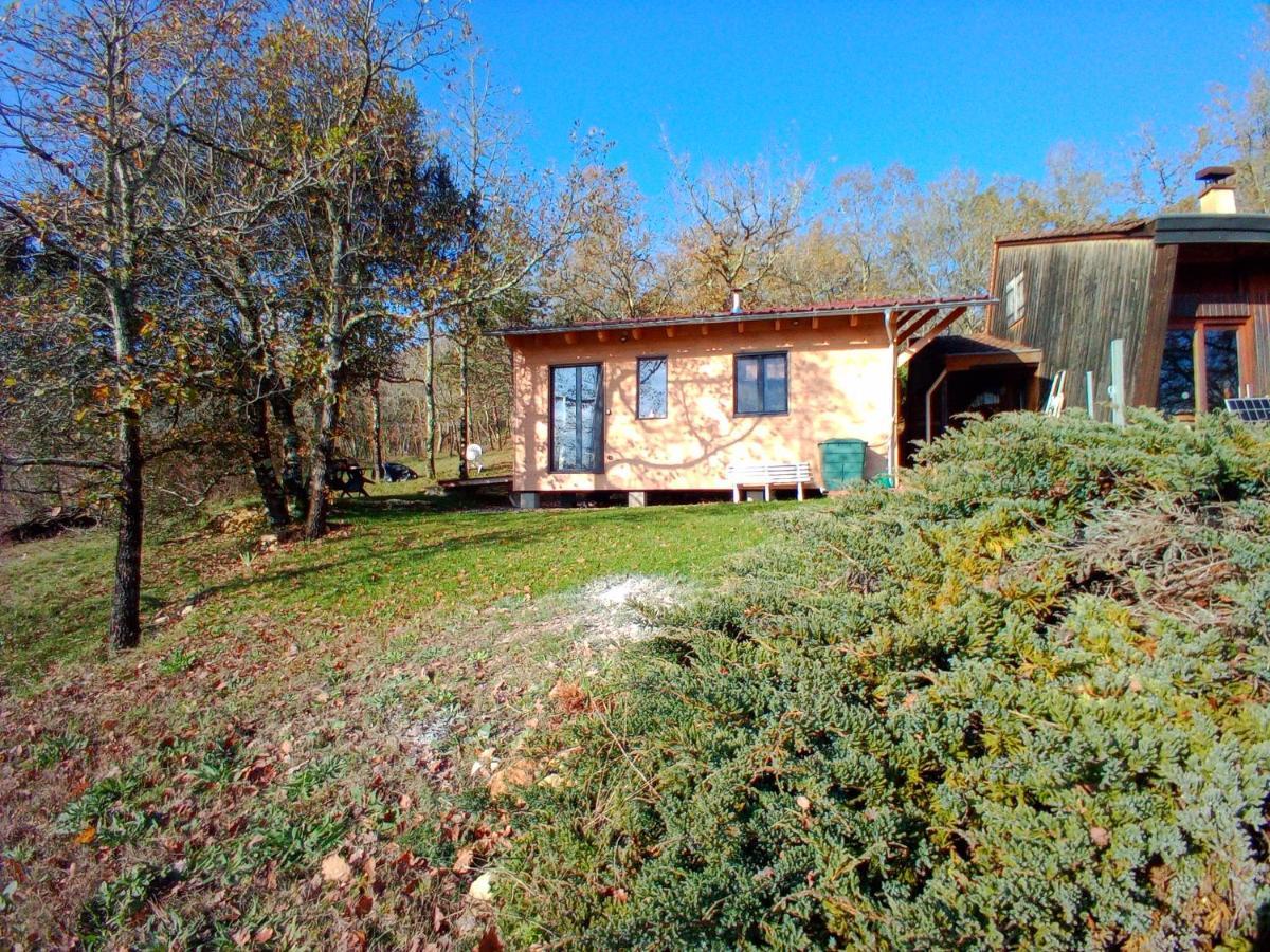 Maison Dans Un Ecrin De Verdure Saint-Leon-sur-Vezere Buitenkant foto